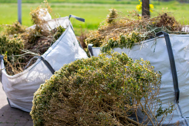Best Commercial Cleanout Services  in Avodo Heights, CA