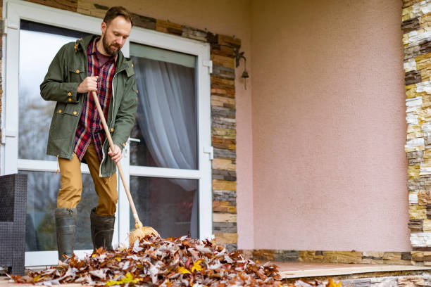 Best Attic Cleanout Services  in Avodo Heights, CA